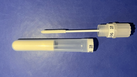 A close up of a plastic tube and a short plastic stick with clean white sponge top, used for taking cheek swab samples